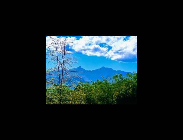 LAND FOR SALE IN UNDERBERG